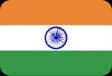 Dyashin Technosoft Private Limited Flag