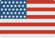 Dyashin Technosoft LLC Flag